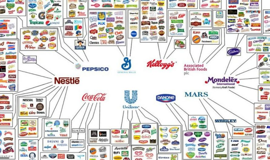 The most popular Food Brands