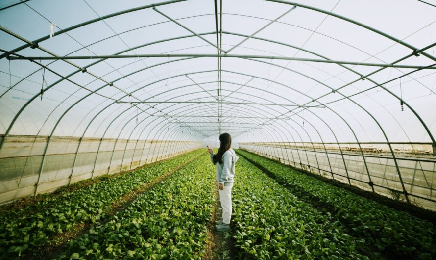 Sustainable Farms: A Commitment to the Future and Nature